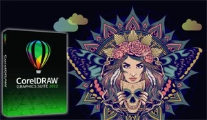corel draw 2021 - Softwares and Licenses