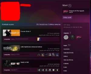 Conta steam com R$4.000,00 gastos em jogos.