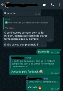 Perfis de alta qualidade com BM inclusa - Serviços Digitais