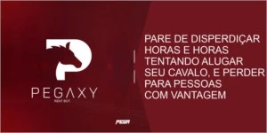 PEGAXY RENTING BOT - Outros