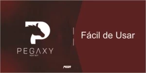 PEGAXY RENTING BOT - Outros