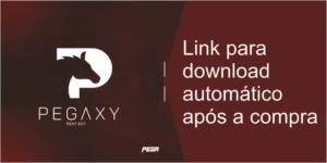 PEGAXY RENTING BOT - Outros