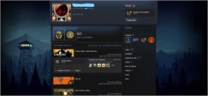 Conta Steam - Global Offensive