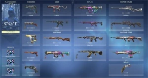 Conta de Valorant 237 skins
