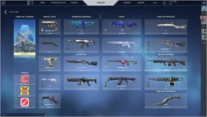 CONTA VALORANT  (+ 30 SKINS E 17K DE VP)
