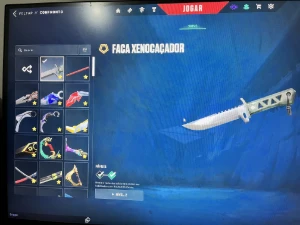 Conta Valorant muitas skins