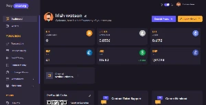 PayMoney v4.3.5 - Secure Online Payment Gateway - Outros