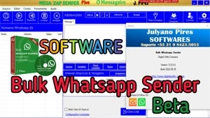 Bulk WhatsApp Sender Pro