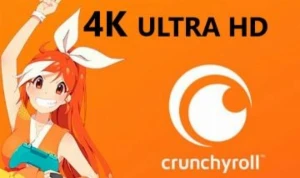 1 Mês Crunchyroll Premium + Entrega Imediata