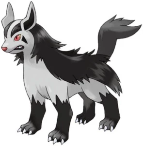 Mightyena +50 no PXG Servidor Sapphire - PokeXGames