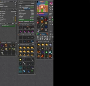 EK 223 QUINTERA + RP 147 QUINTERA - Tibia