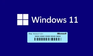 Licença (Chave) - Windows 10/11 Pro! Vitalícia! - Softwares e Licenças
