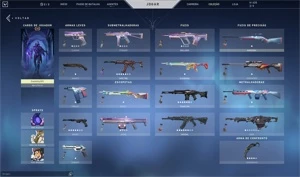 Conta valoran com boas skins mais de 750,00 gasto - Valorant