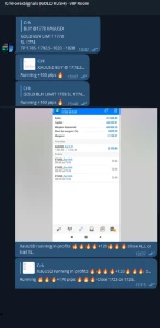 2 Grupos de Sinais Telegram(GOLD + PARES DE MOEDAS) Mensal
