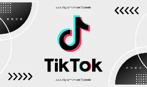 TikTok 1000 Seguidores - Com Reposição