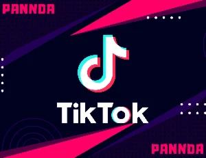 TikTok 1000 Seguidores - Com Reposição