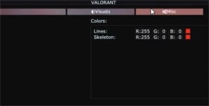 Valorant Cheat apenas ESP - Outros