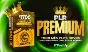 👑+1.000 Plr's Premium Validados 👑 - Outros