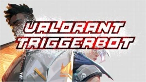 TRIGGERBOT+NO RECOIL VALORANT (INDETECTÁVEL)