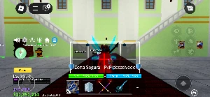 Conta de Blox Fruíts