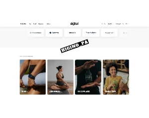 Tema Shopify Digital 5 Layout's + Atualizações E Bônus - Outros