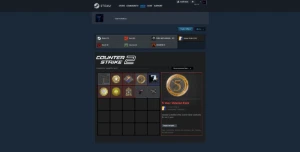 Conta steam com premier cs2, sem vacban, liberado!