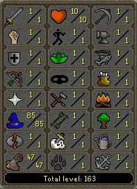 Pure  Mage - Runescape RS