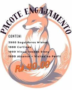 Seguidores Instagram + Engajamentos - Outros
