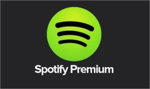 Spotify Premium 1 Ano