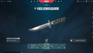 Conta de Valorant