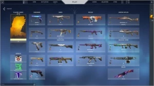 Conta Valorant com muitas skins e sem elo.