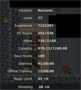 EK 97/48 MS 77 [c/RK] - Tibia