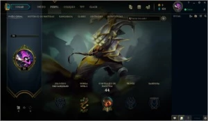 CONTA LOL LEVEL 30 + UNRANKED - League of Legends