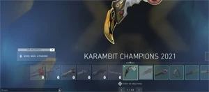 conta valorant 9 mil reais em skins - Wakfu