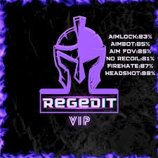 REGEDIT FREE FIRE VIP 80% CAPA - Outros