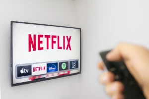 Fornecedores conta Premium Netflix conta completa - Outros