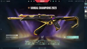 CONTA VALORANT IMT 1 (1000 reais gastos)