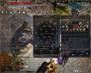 Black Desert Mago 61 29% 506 gs - Outros