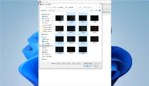 Let It Be Light - Softwares e Licenças