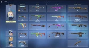 Conta valorant dima/plat FACA e SKINS raras