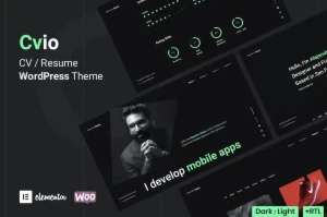 Tema de WordPress - Outros