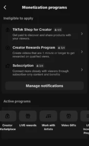Tiktok Monetizado - 35 Mil Seguidores - Redes Sociais