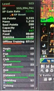 Royal Paladin 322 - Tibia