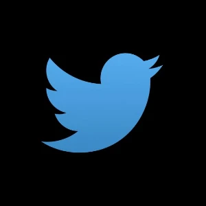 ✅ Contas Twitter Antigas E Raras | Criação Em 2010 - 2014 ✅ - Redes Sociais