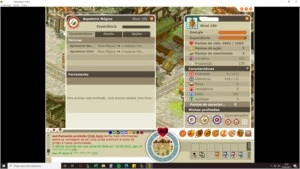 Conta servidor 1.29 - Dofus