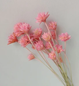 Flores Secas: Espeta Nariz com 36 unidades - Artesanato e Personalizados