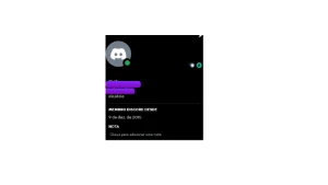 Conta Discord De 2015! + Nitro Trimestral! - Redes Sociais