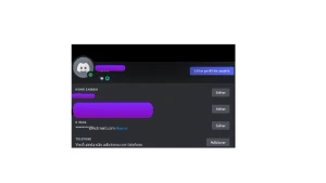 Conta Discord De 2015! + Nitro Trimestral! - Redes Sociais