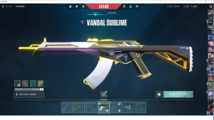 Conta Valorant R$1000,00 Em Skins + 5 Facas