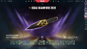 Conta Valorant com muita skin